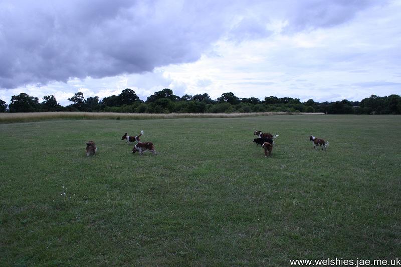 2009-07-19 23a12.jpg